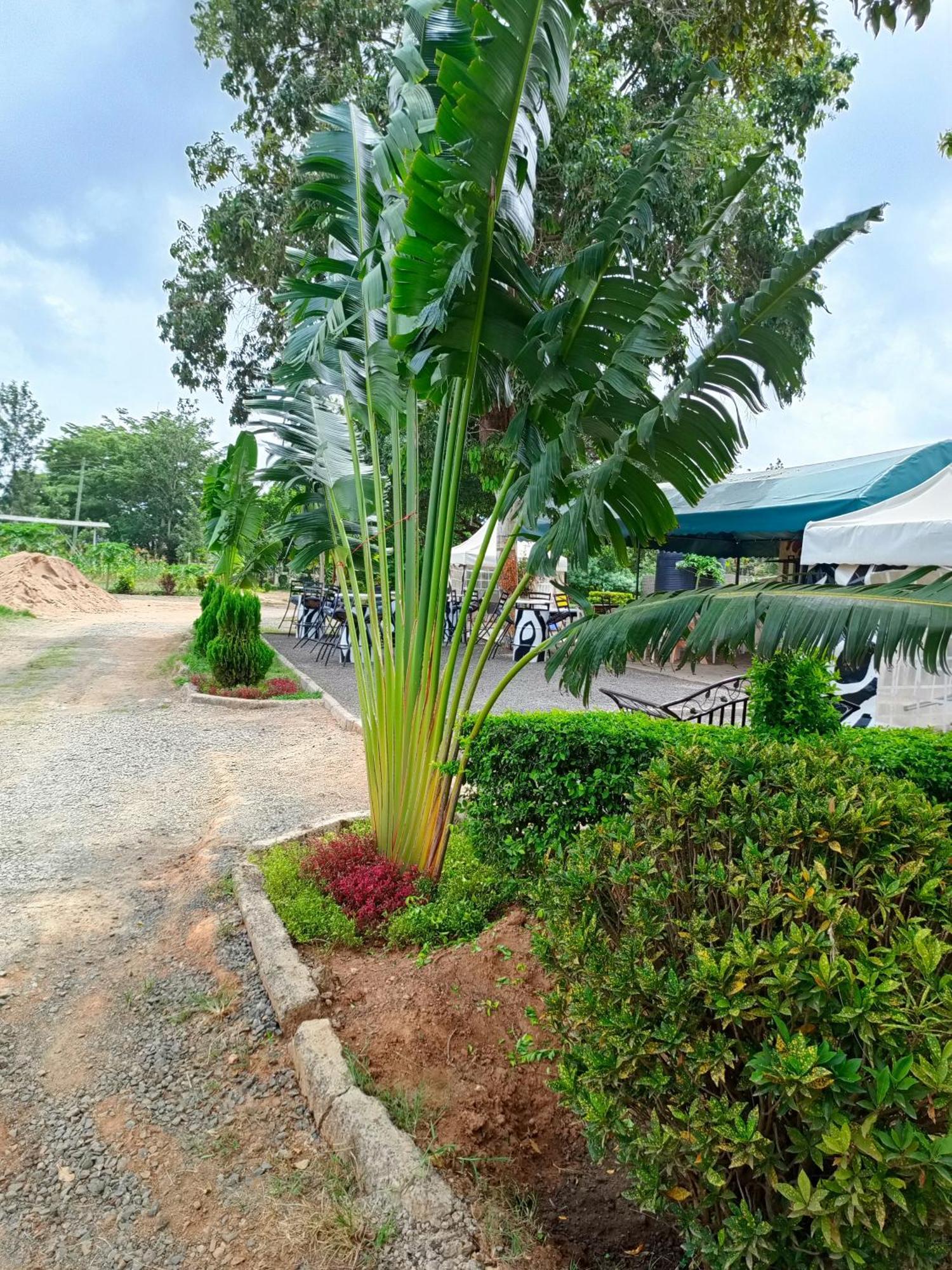 The Mara Resort Kitui Ngoại thất bức ảnh